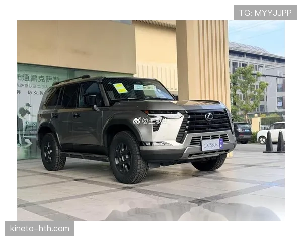 李刚仁勇夺冠军，出色表现彰显卓越竞技状态与精神风貌