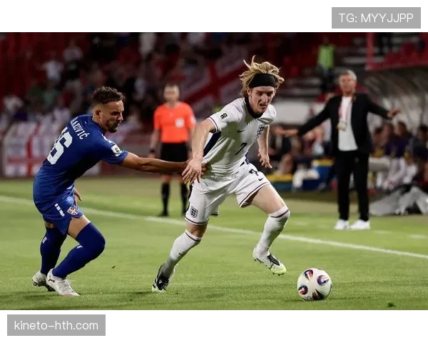 阿尔巴世界杯英雄时刻燃爆全场，精彩瞬间引爆热血回忆