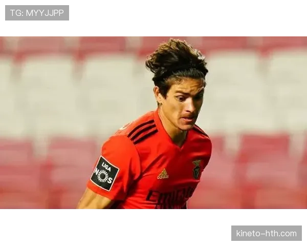 努涅斯本菲卡时期荣誉解析：成名基础